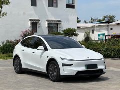 Tesla Model Y L 2025 long-range all-wheel drive version - фото 3