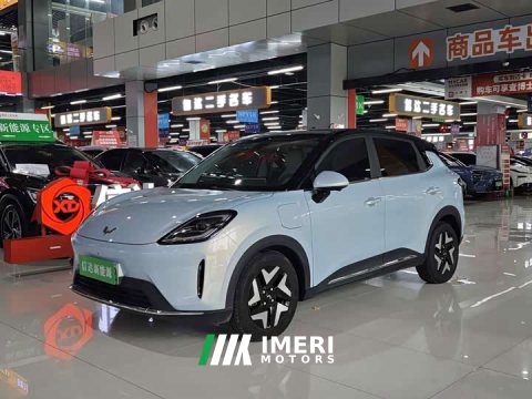 2025 Bingo S 2025 430km flagship model - автомобиль из Китая