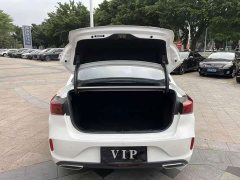 Ford EADO PLUS Blue Whale NE 1.4T GDI DCT Premium Type - фото 12