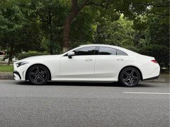Mercedes-Benz CLS 2023 CLS 300 Dynamic - фото 5