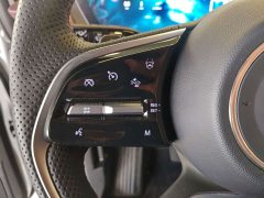 Century 2025 2.0T Six-seater Yuanshi Edition - фото 14