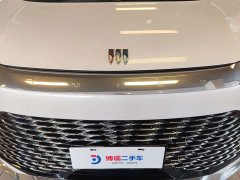Century 2025 2.0T Six-seater Yuanshi Edition - фото 5