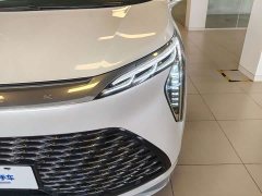 Century 2025 2.0T Six-seater Yuanshi Edition - фото 6