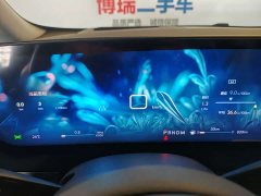 Century 2025 2.0T Six-seater Yuanshi Edition - фото 7