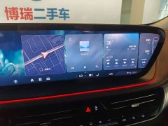 Century 2025 2.0T Six-seater Yuanshi Edition - фото 8