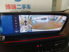 Century 2025 2.0T Six-seater Yuanshi Edition - фото 9