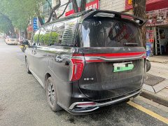 Hongqi HQ9 PHEV 2024 2.0T four-wheel drive business version - фото 10