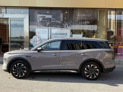 Hongqi HS7 PHEV 2.0T PHEV four-wheel drive flag collar version 6 seats - фото 13