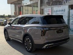 Hongqi HS7 PHEV 2.0T PHEV four-wheel drive flag collar version 6 seats - фото 16