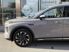 Hongqi HS7 PHEV 2.0T PHEV four-wheel drive flag collar version 6 seats - фото 3