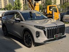 Hongqi HS7 PHEV 2.0T PHEV four-wheel drive flag collar version 6 seats - фото 7