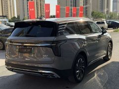Hongqi HS7 PHEV 2.0T PHEV four-wheel drive flag collar version 6 seats - фото 9