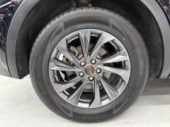 Hongqi HS5 2.0T two-wheel drive Qixiang Pro version - фото 13