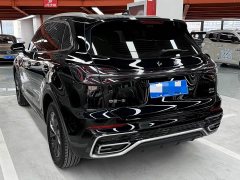 Hongqi HS5 2.0T two-wheel drive Qixiang Pro version - фото 15