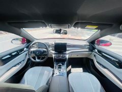BYD Qin PLUS Champion Edition DM-i 55KM Transcendent Type - фото 11