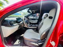 BYD Qin PLUS Champion Edition DM-i 55KM Transcendent Type - фото 7