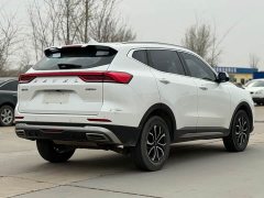 Haval H6 2021 National Fashion Edition 1.5T Automatic Urban Edition - фото 11