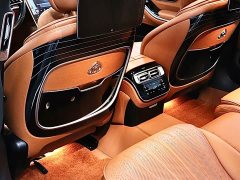 Mercedes-Benz S-Class S 450 L - фото 13