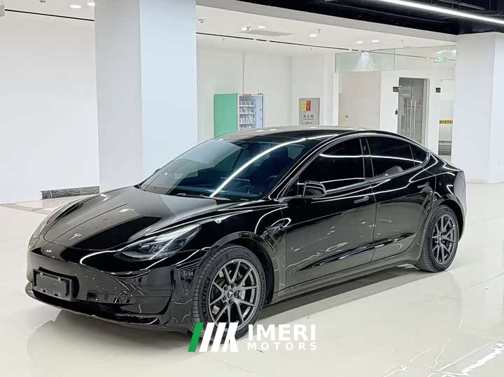 Tesla Model 3 standard range rear drive upgraded version 3D6