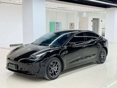 Tesla Model 3 standard range rear drive upgraded version 3D6 - фото 1