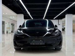 Tesla Model 3 standard range rear drive upgraded version 3D6 - фото 2