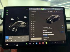 Tesla Model 3 standard range rear drive upgraded version 3D6 - фото 6