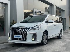 Buick GL8 Land Business Class 652T Luxury - фото 1