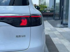 AITO Wenjie M8 extended range Ultra version 53.4kWh 6-seat version (192-line lidar) - фото 6