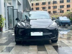Tesla Model Y 2022 facelift rear-wheel drive version - фото 18