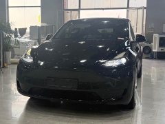 Tesla Model Y rear-wheel drive version - фото 1