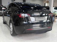 Tesla Model Y rear-wheel drive version - фото 10
