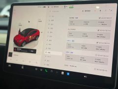 Tesla Model Y rear-wheel drive version - фото 9