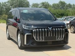 Voyah Lantu Dreamer PHEV Extra Long Range Premium Edition - фото 3
