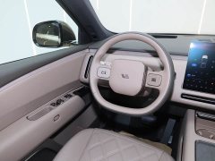 Li Auto Ideal L9 Livis - фото 20