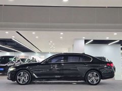 BMW 5 Series facelift 530Li leading luxury package - фото 4