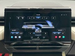 Lincoln Voyager 2023 2.0T four-wheel drive premium version - фото 19