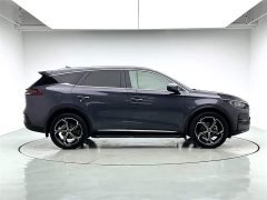 BYD Tangxin Energy DM-i 112KM Honor Type - фото 6