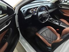 Ford EADO PLUS Blue Whale NE 1.4T GDI DCT Premium Edition - фото 16