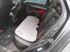 Changan CS55PLUS Blue Whale Edition 1.5T Manual Luxury - фото 17