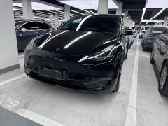 Tesla Model Y standard range rear-wheel drive version - фото 1