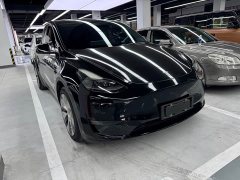 Tesla Model Y standard range rear-wheel drive version - фото 3