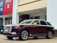 Hongqi E-HS9 510km flag collar version four seats - фото 1