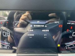 Hongqi H5 1.5T DCT 600,000 units commemorative edition - фото 18