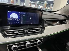 Hongqi HS5 2.0T two-wheel drive Qixiang Pro version - фото 10