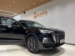 Hongqi HS5 2.0T two-wheel drive Qixiang Pro version - фото 3