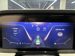 Hongqi HS5 2.0T two-wheel drive Qixiang Pro version - фото 8