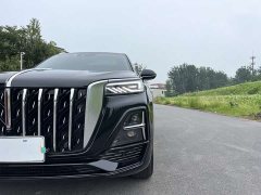Hongqi HS5 2023 2.0T Qixiang Pro version - фото 18