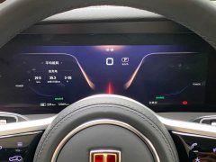 Hongqi E-HS9 460km flagship version six seats - фото 7