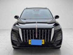 Hongqi HS5 2025 2.0T two-wheel drive Qixiang Pro version - фото 2