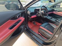 Trumpchi Shadow Leopard 270T DCT J10 Flying Edition - фото 4